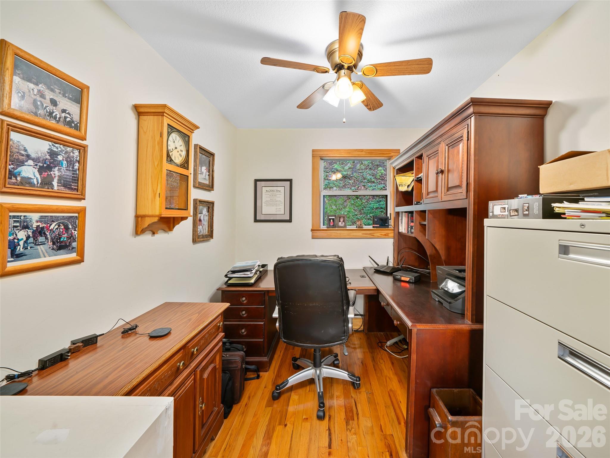 Mount Mitchell Lands West - Residential