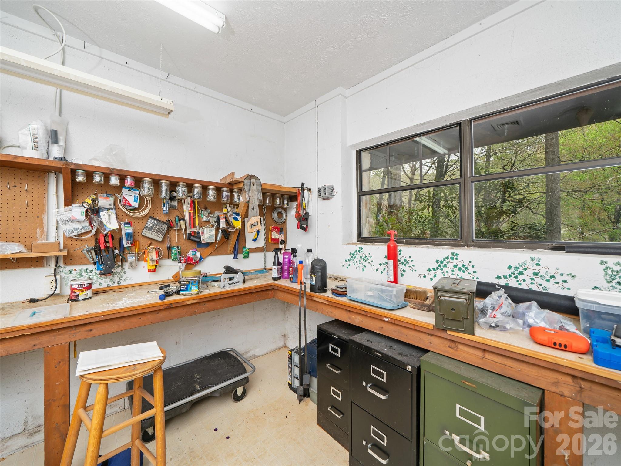 Mount Mitchell Lands West - Residential