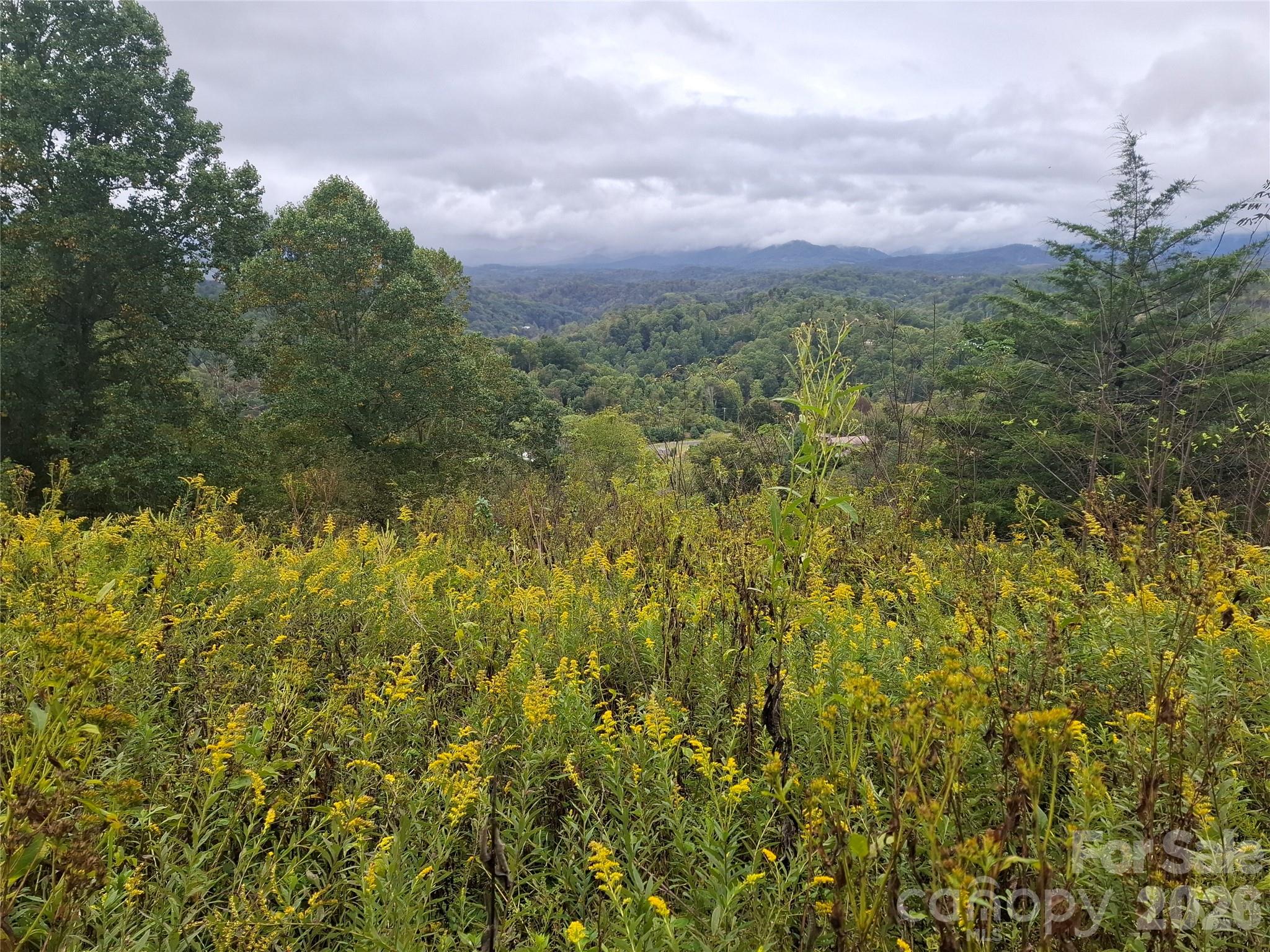 310 Sunset Mountain 11