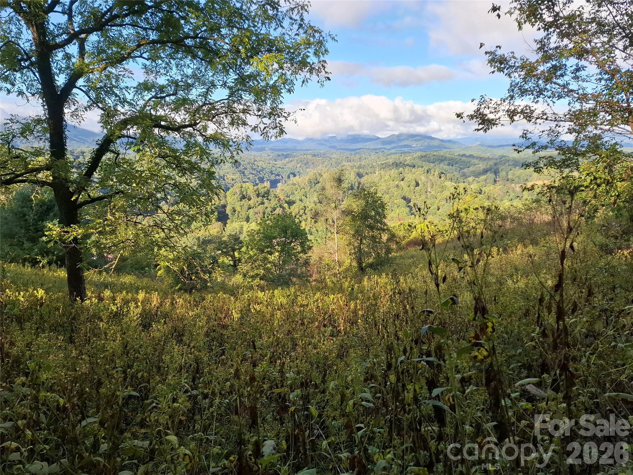 310 Sunset Mountain 11