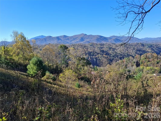 310 SUNSET MTN, BAKERSVILLE, NC 28705 - Image 7c2cc1aa40c6797c8fd718e620496b90/3694108665