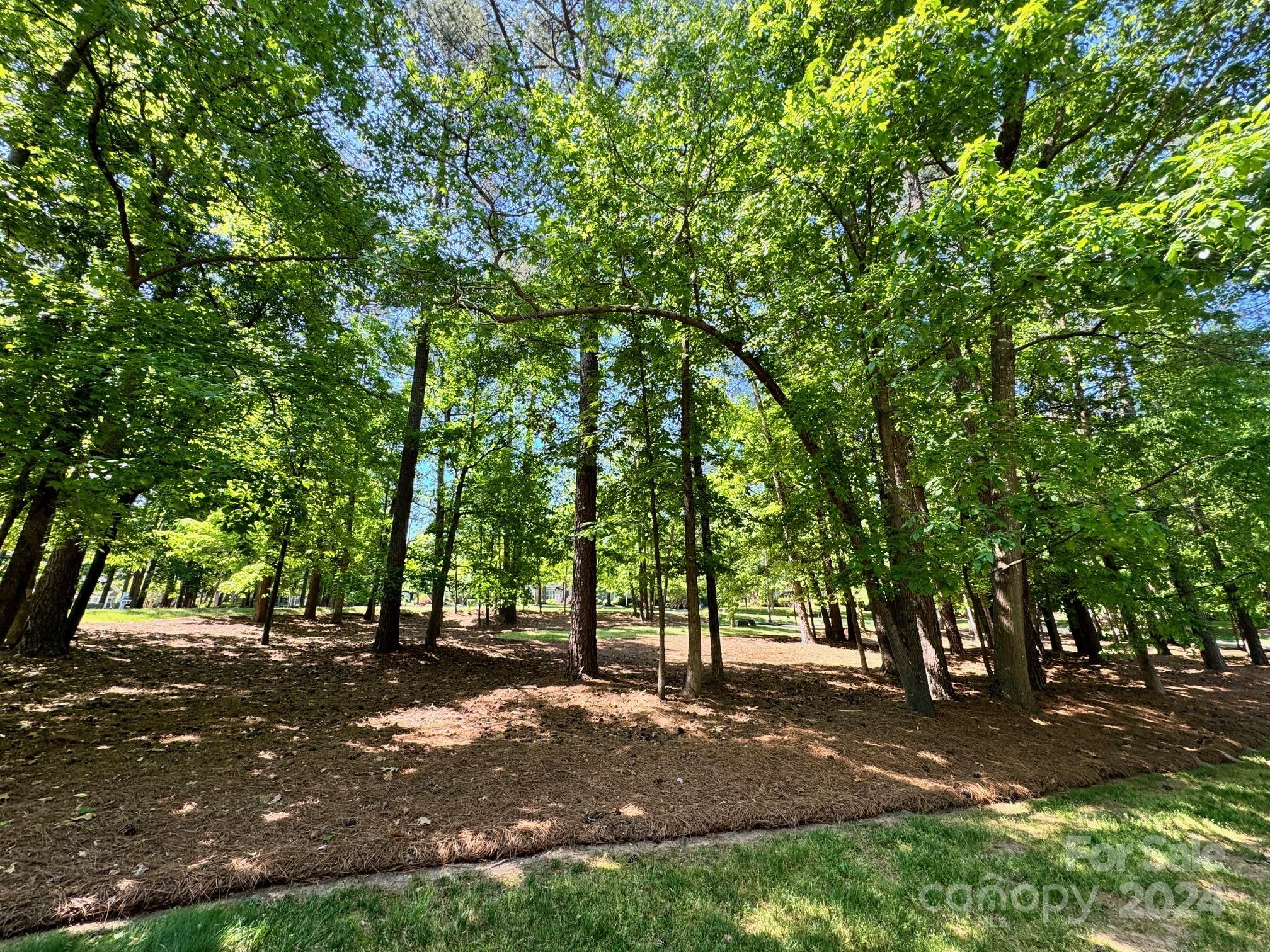 The Point - Residential