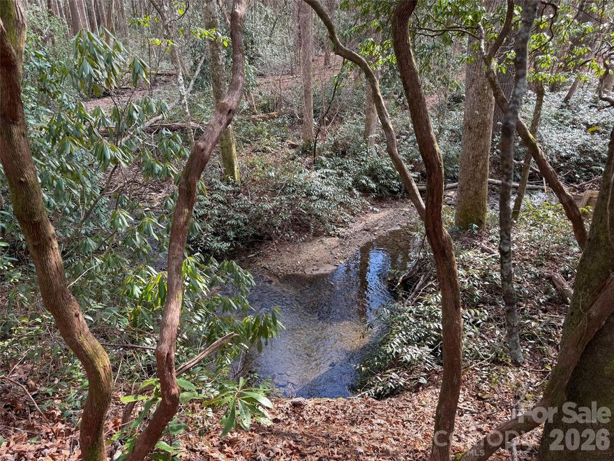 Ideal location with this charming south-facing property. The lot has a mix of rhododendron, pine and hardwood trees. Beautiful year round Williamson Creek runs the entire back boundary line. Stoney Brook is a quaint and qiuet community only 10 minutes to historic Brevard, and 15 minutes to Pisgah National Forest! The soil has been evaluated favorably for septic system for a 4 bedroom home! Septic permit is on file. Come see why we live where we play!