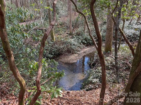 TBD Cherrywood Lane L-12 Pisgah Forest NC 28768