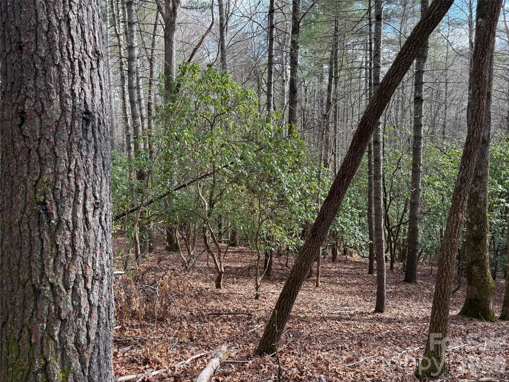 TBD Cherrywood Lane L-12