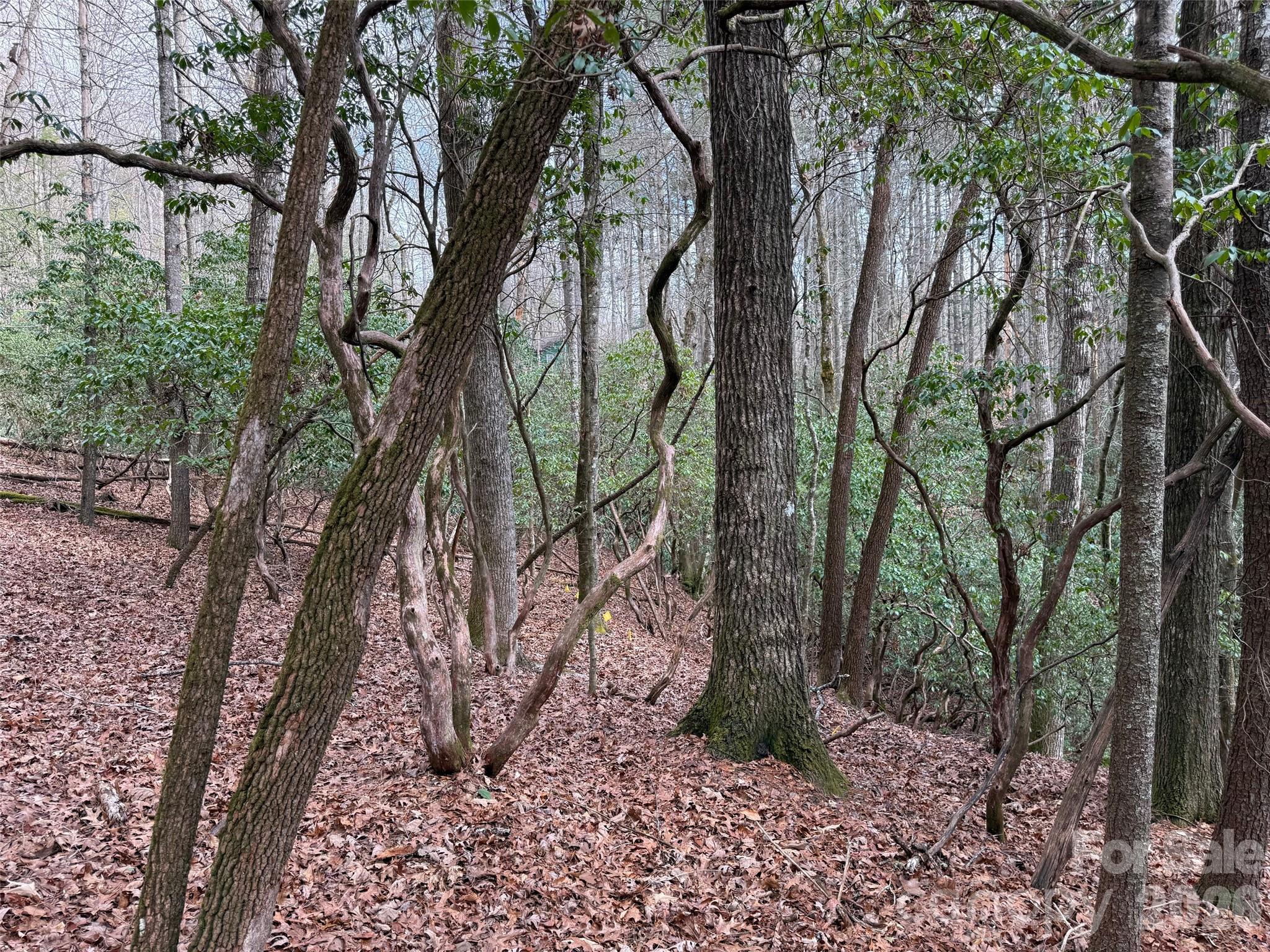 TBD Cherrywood Lane L-12