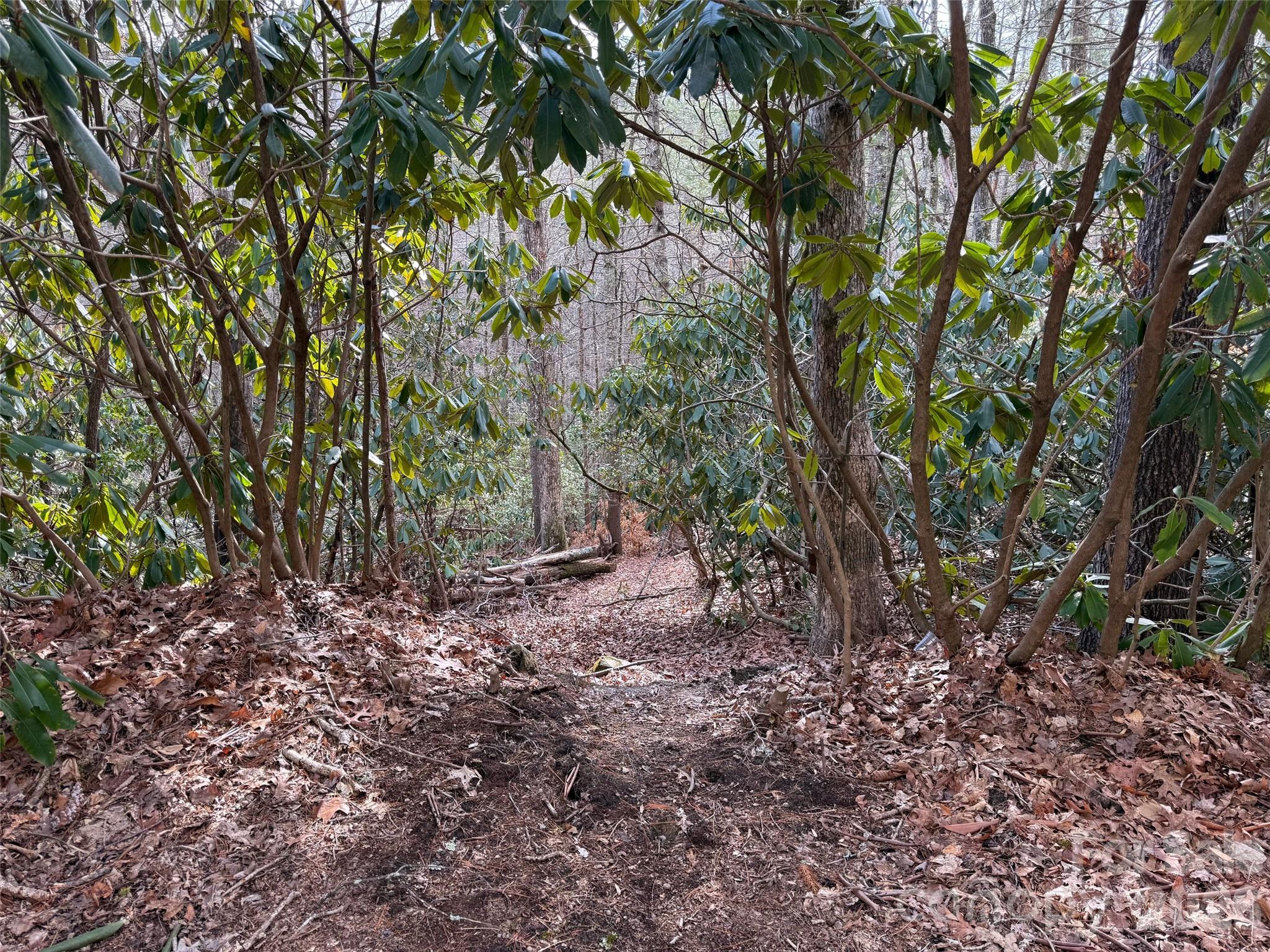 TBD Cherrywood Lane L-12