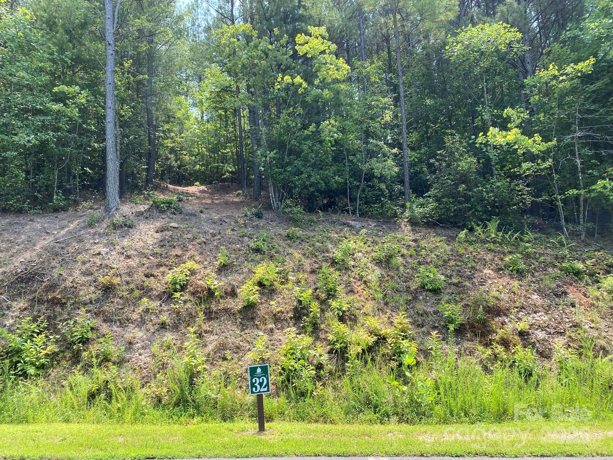 Lake Rhodhiss Estates - Land