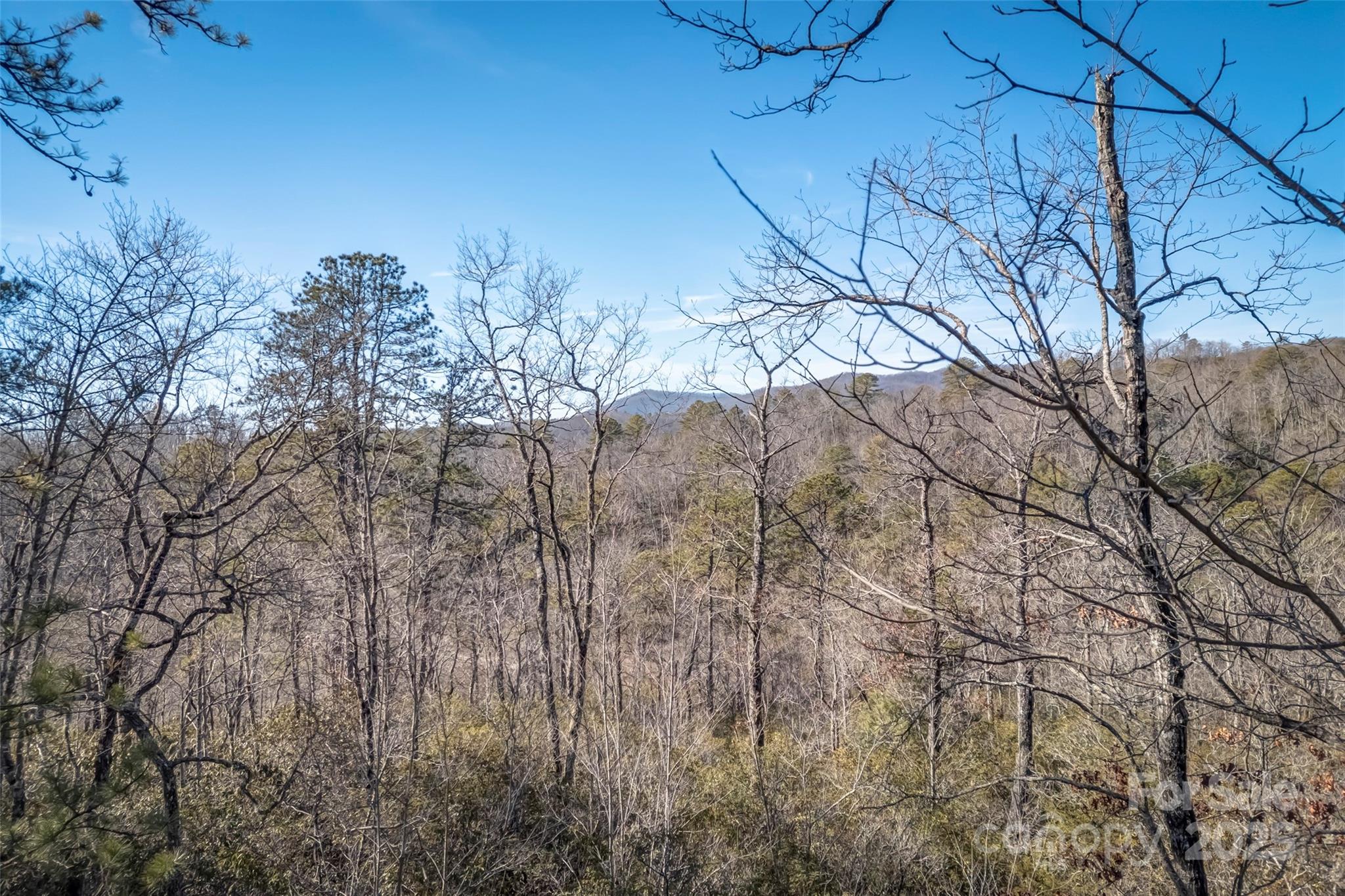 Chimney Creek - Land