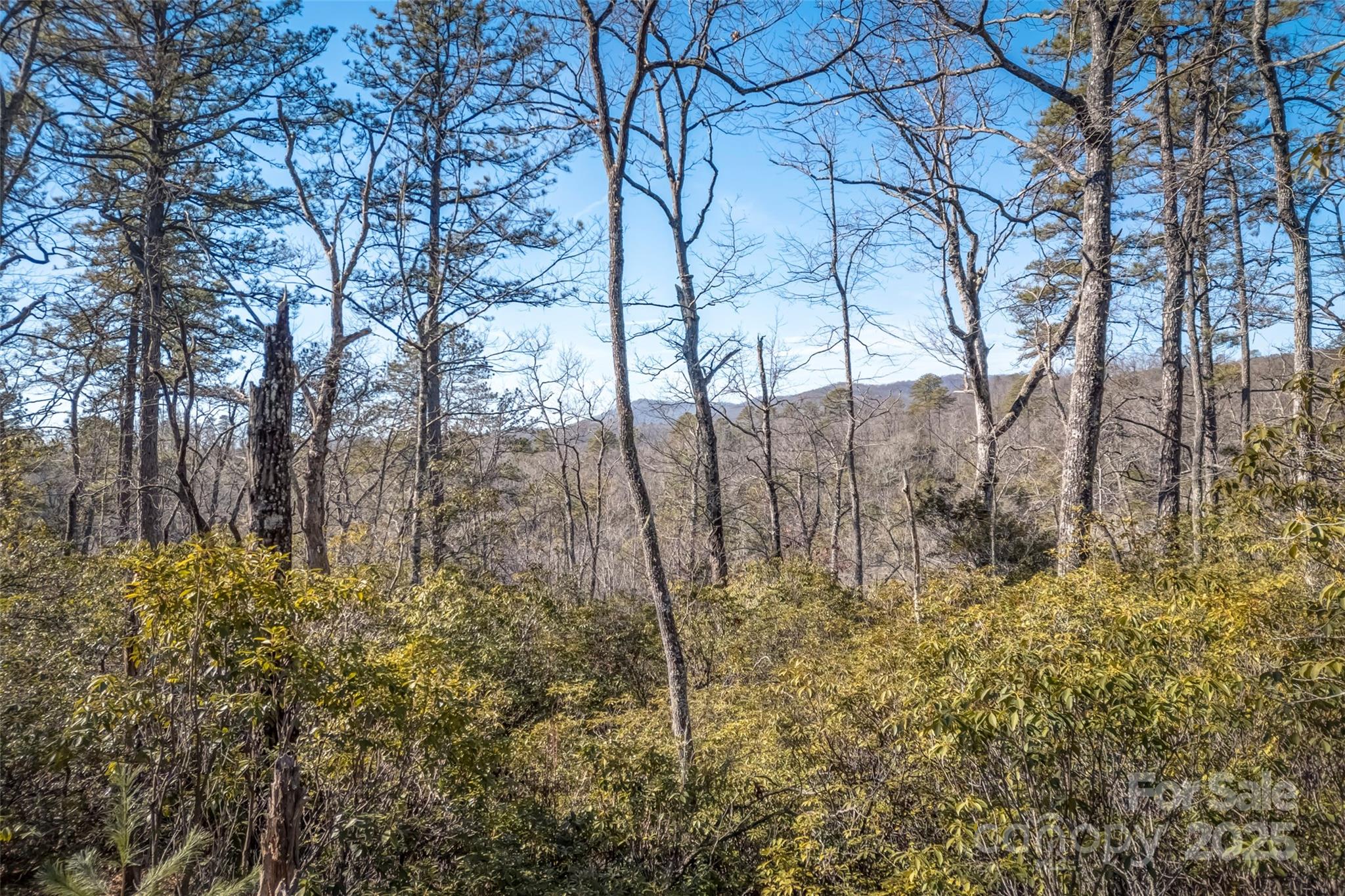 Chimney Creek - Land