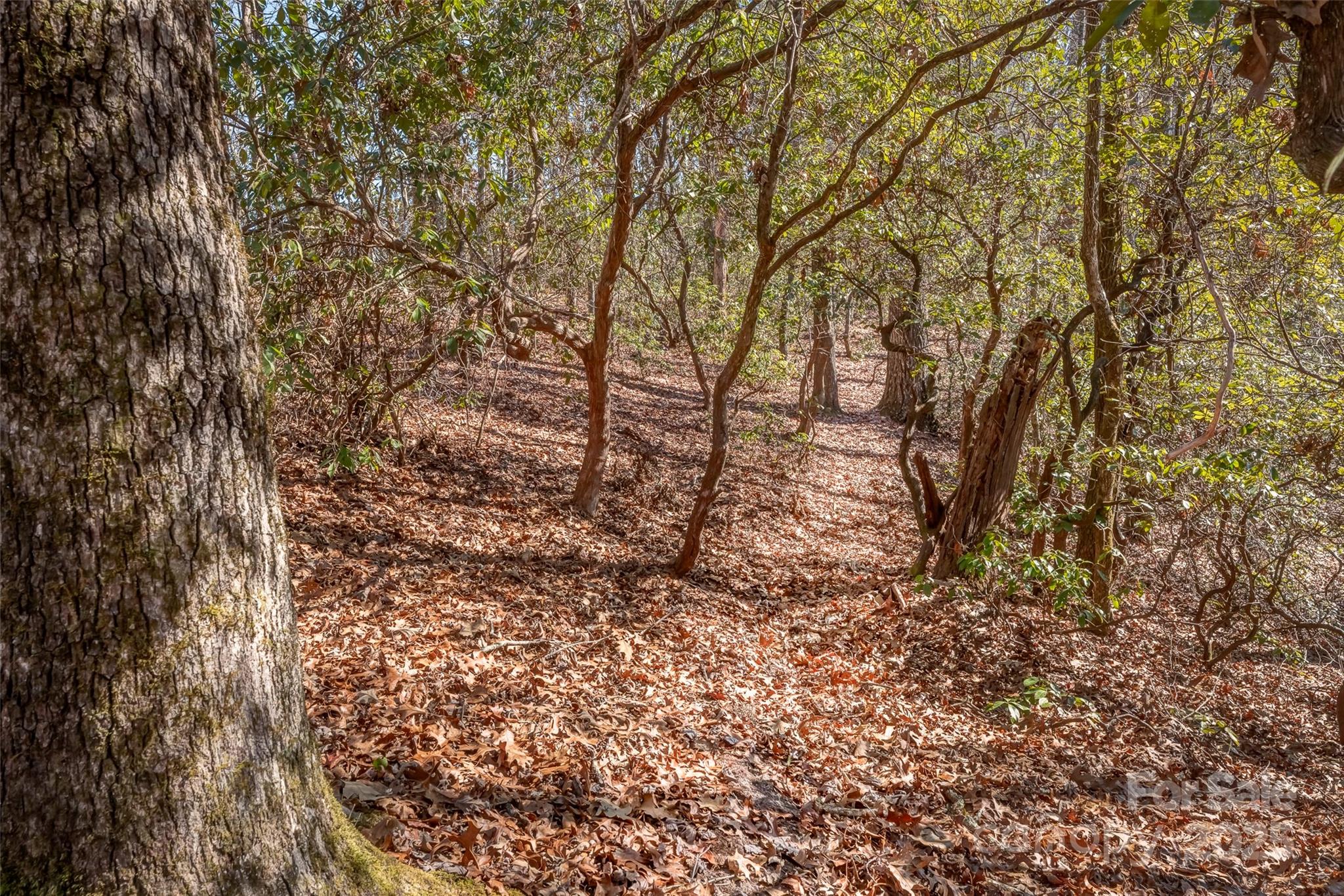 Chimney Creek - Land