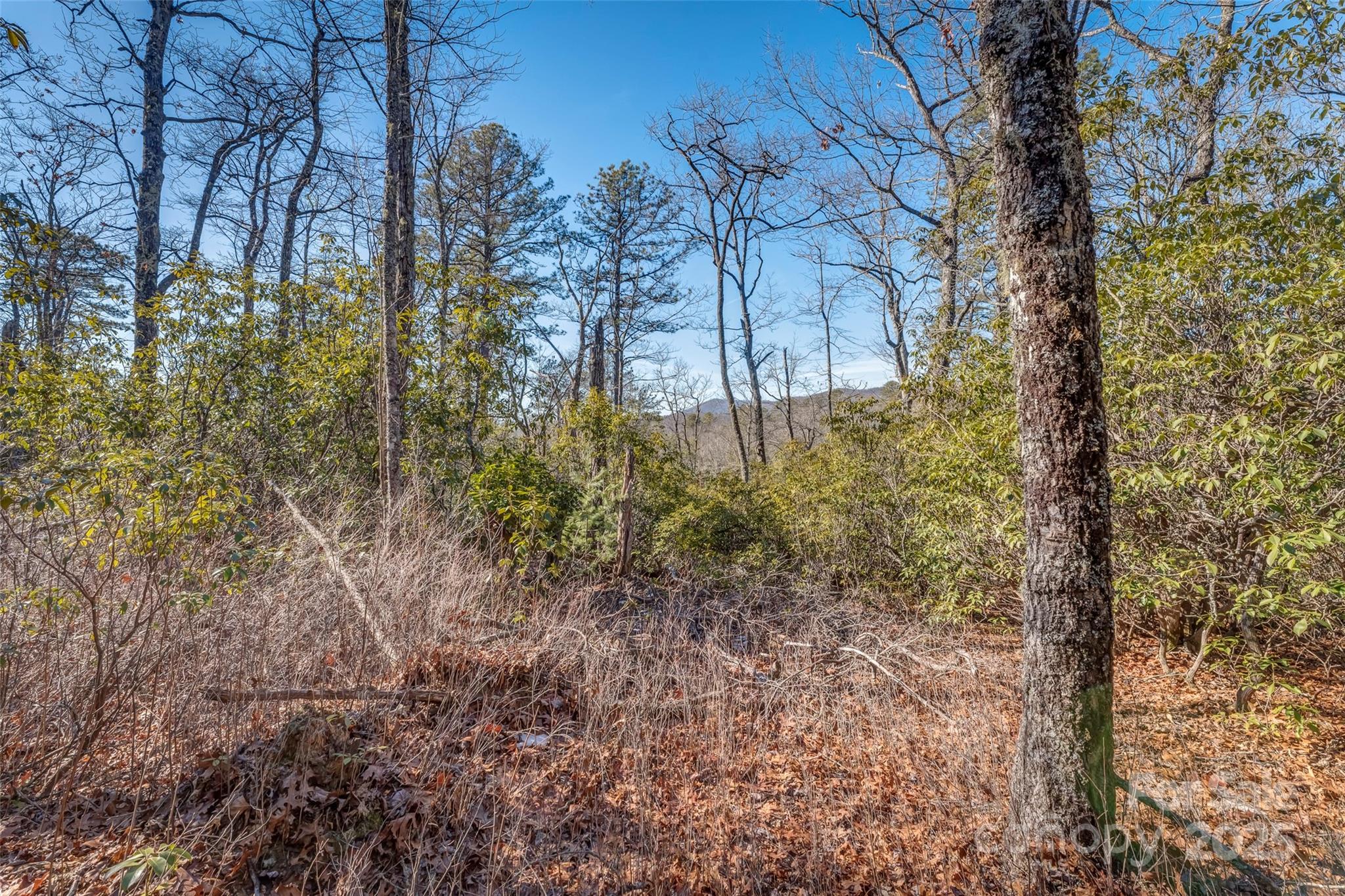 Chimney Creek - Land