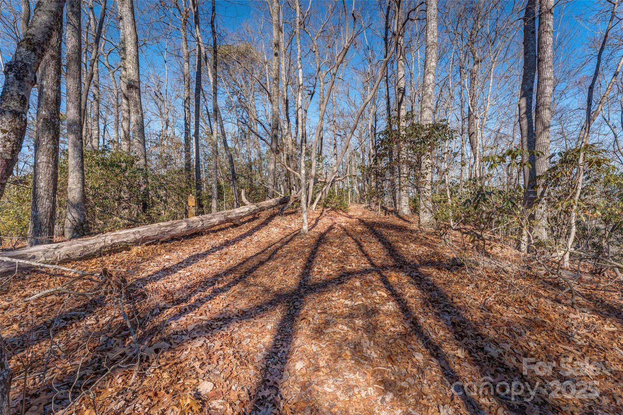 Chimney Creek - Land