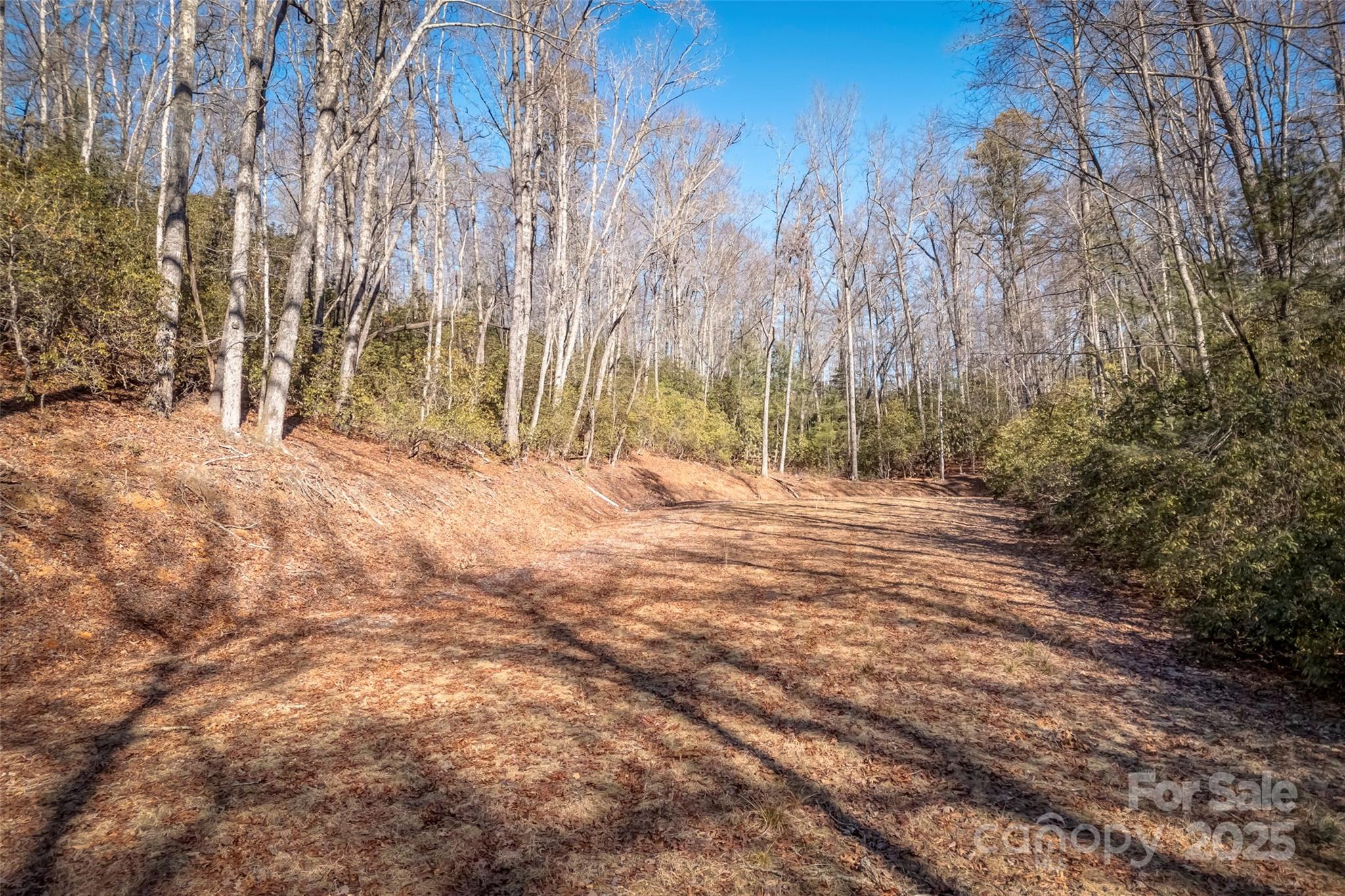Chimney Creek - Land