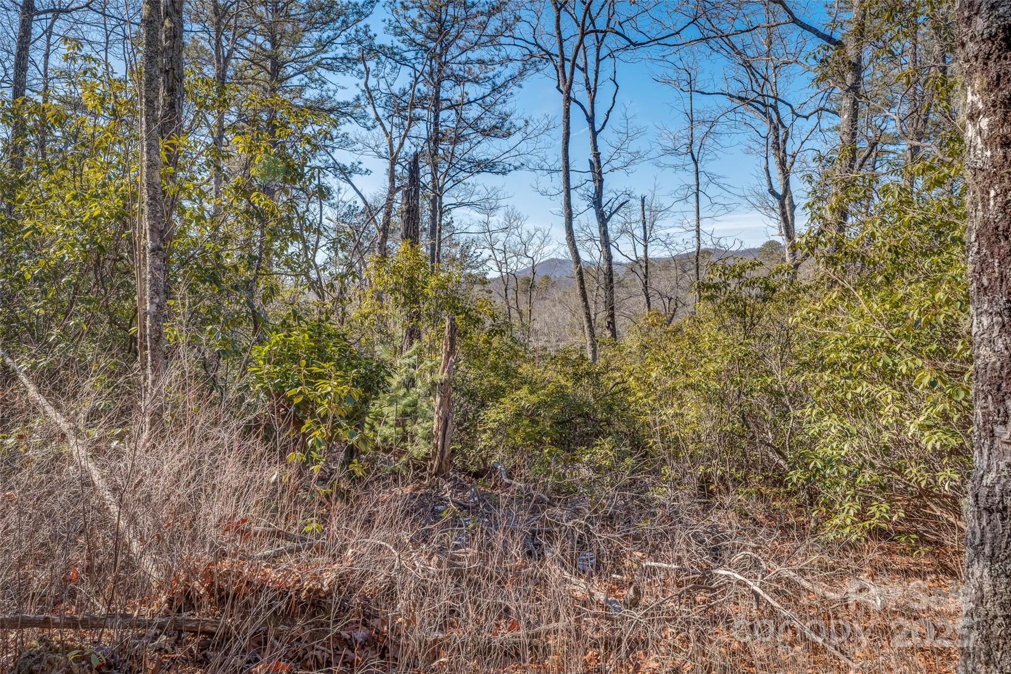 Chimney Creek - Land