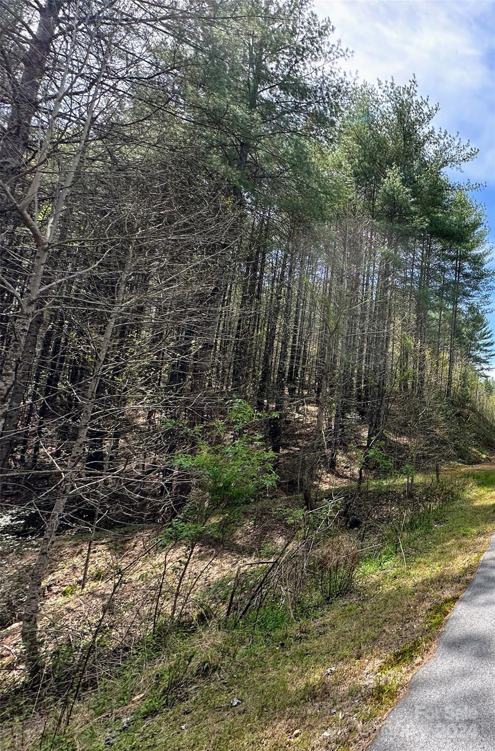 0 National Forest Drive 132