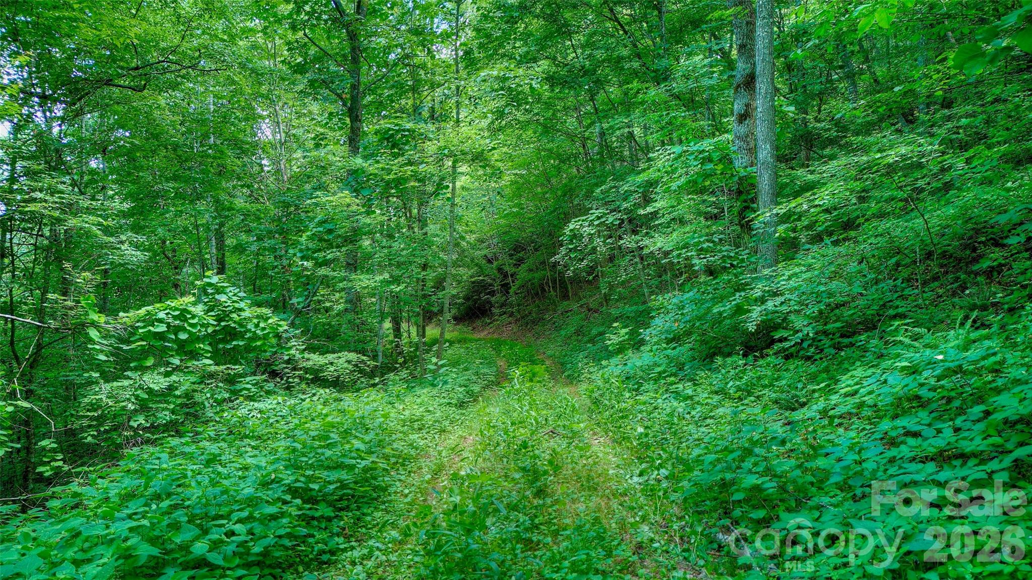 00 Arrowhead Ridge Road