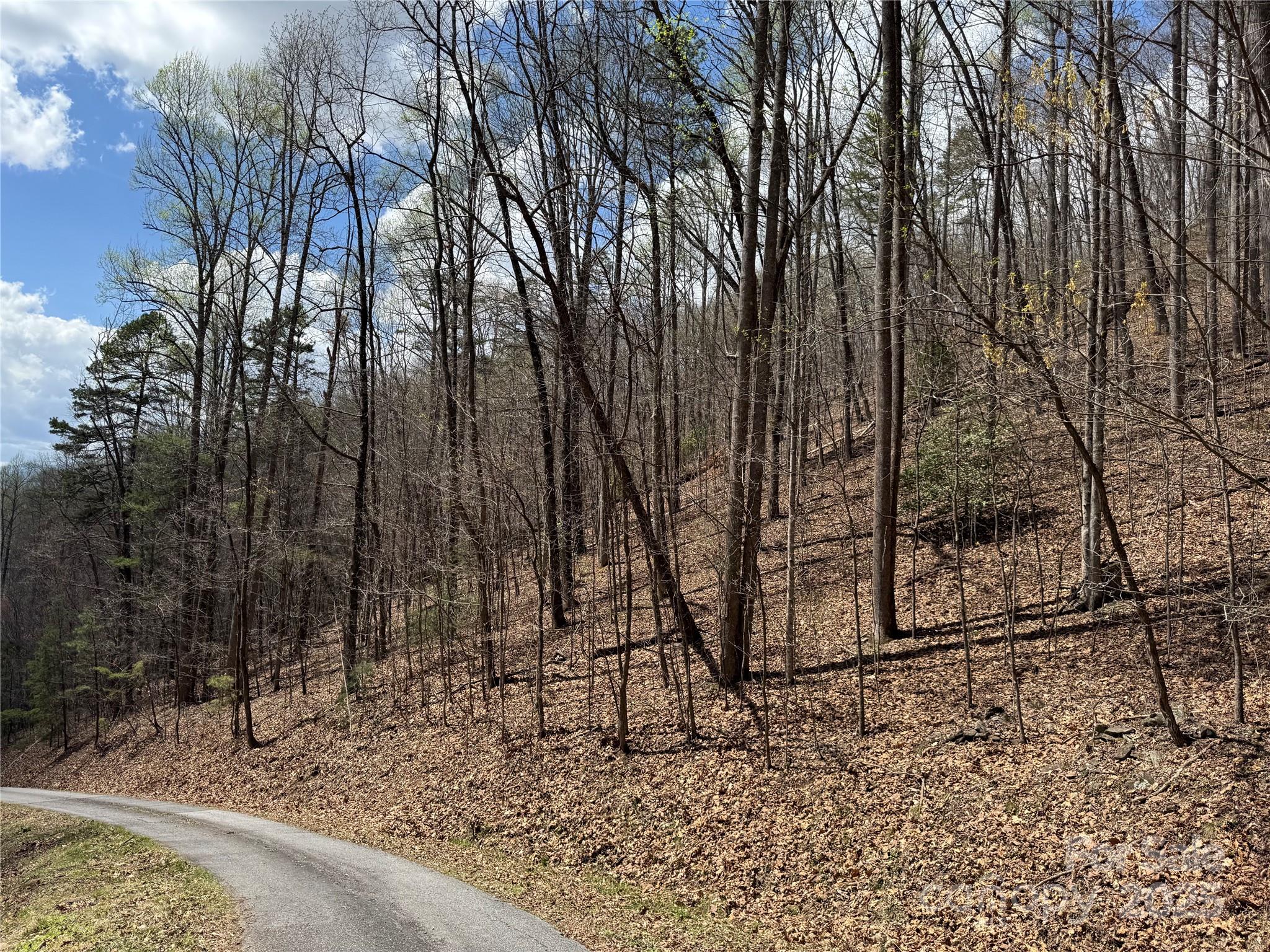 0 Forest Hills Road