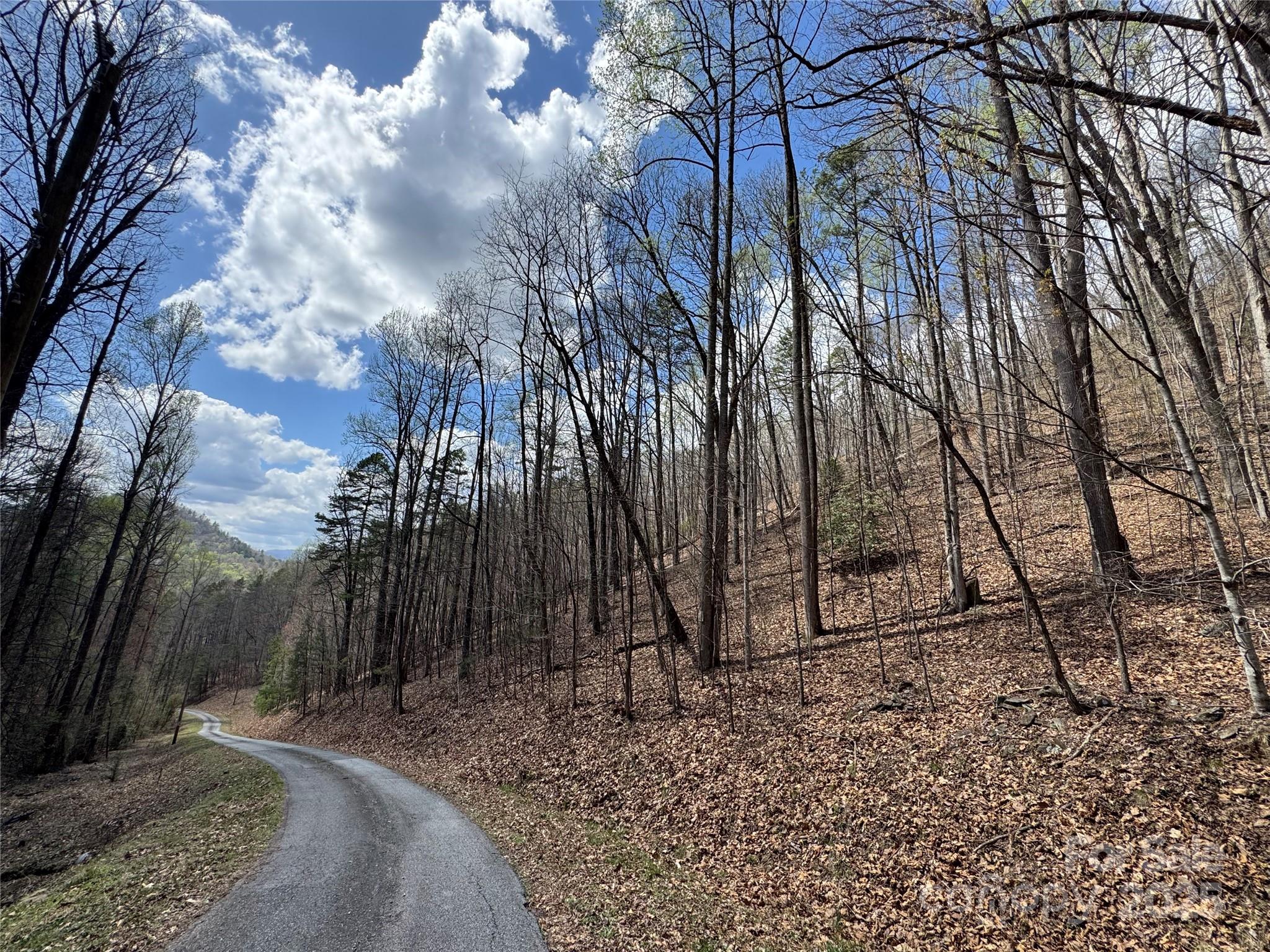 Fontana Lake Properties - Land