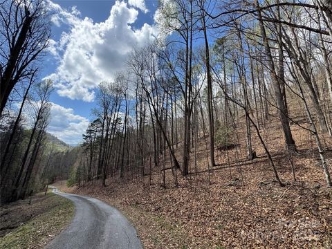 0 Forest Hills Road Bryson City NC 28713