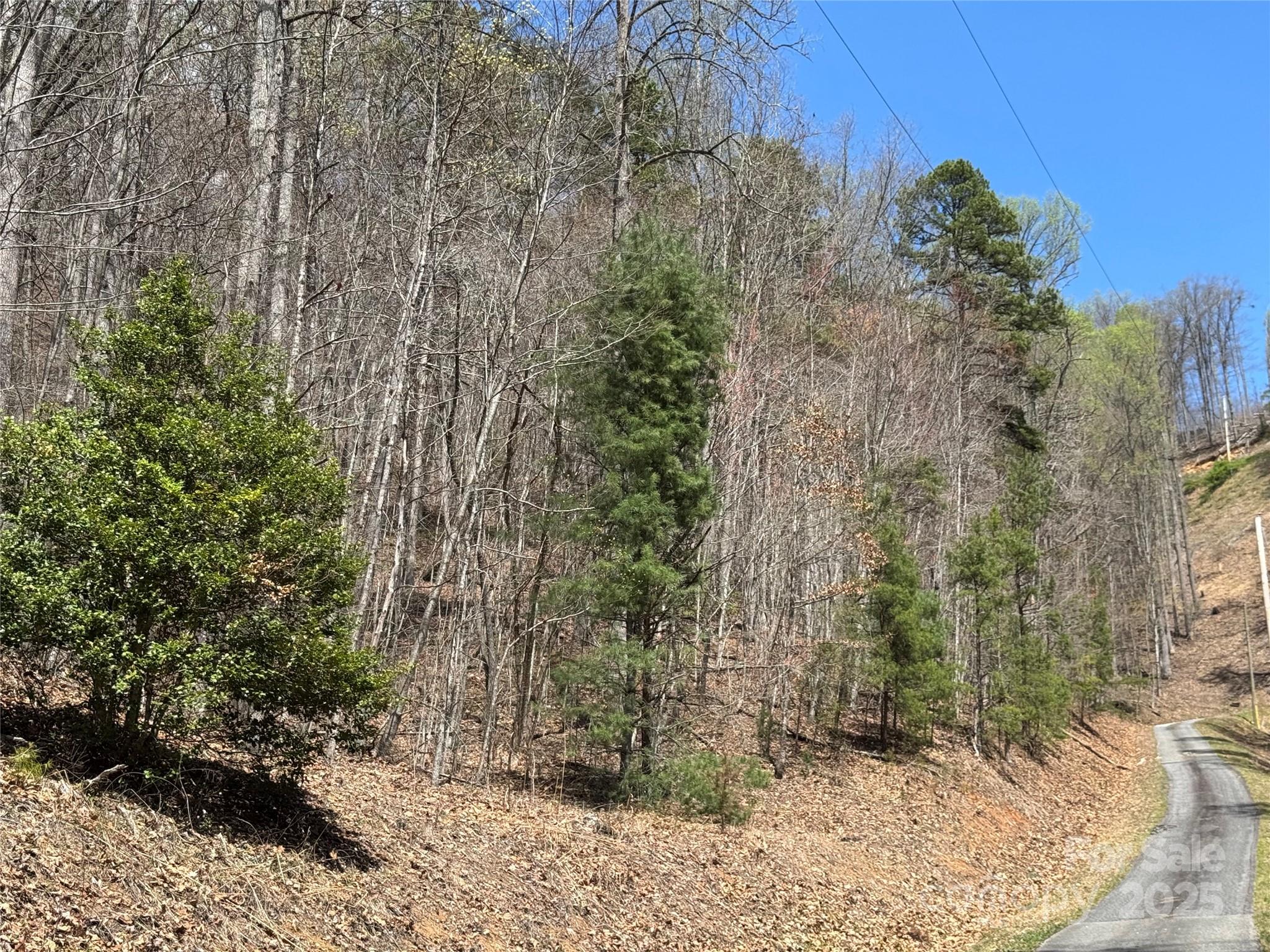 0 Forest Hills Road