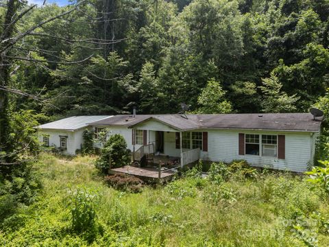 99 Bridges Cove Road Leicester NC 28748