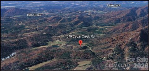 Photo of 670 Cedar Creek Road, Lake Lure, NC 28746 (MLS # 4382823)