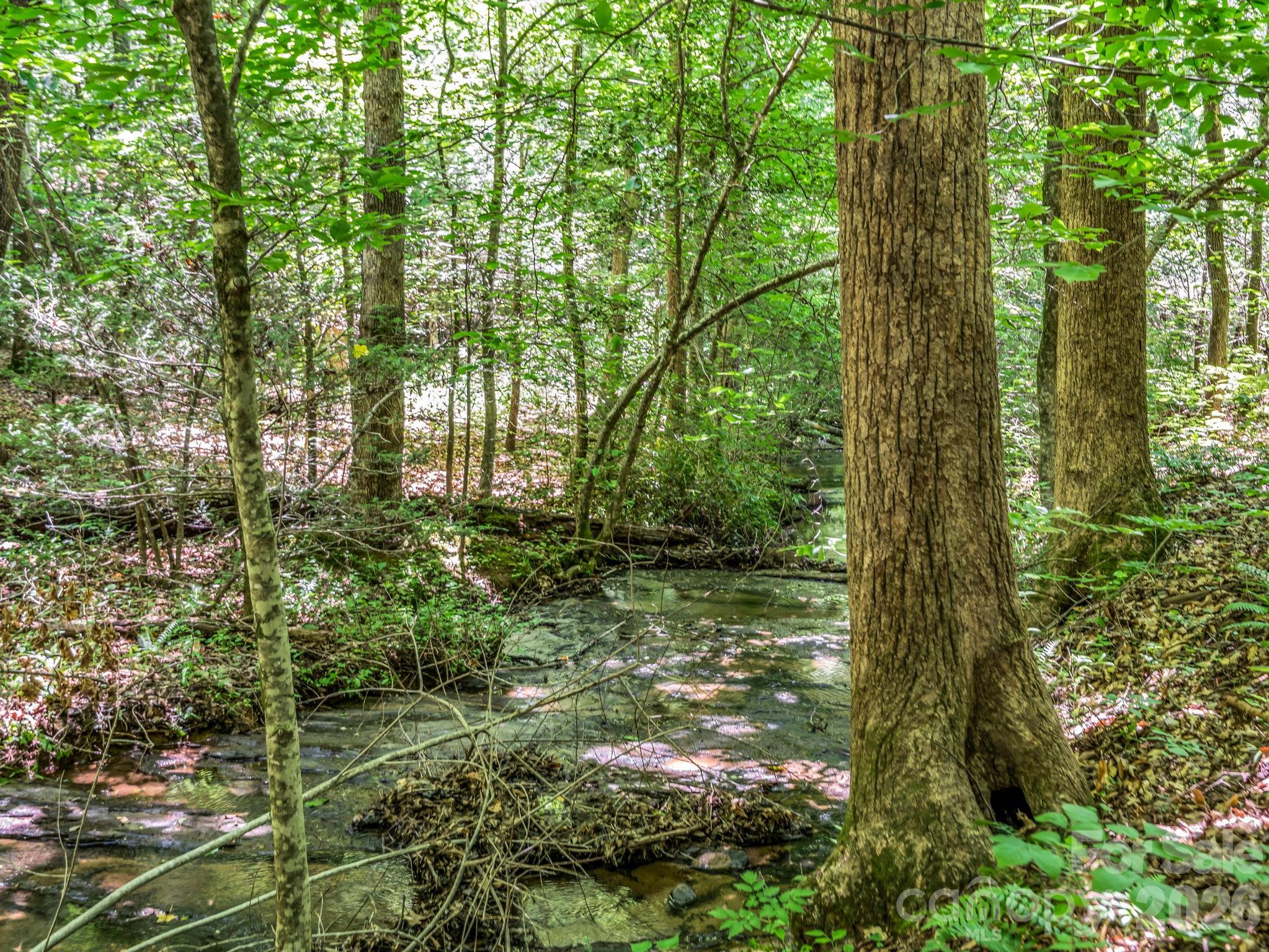 670 Cedar Creek Road