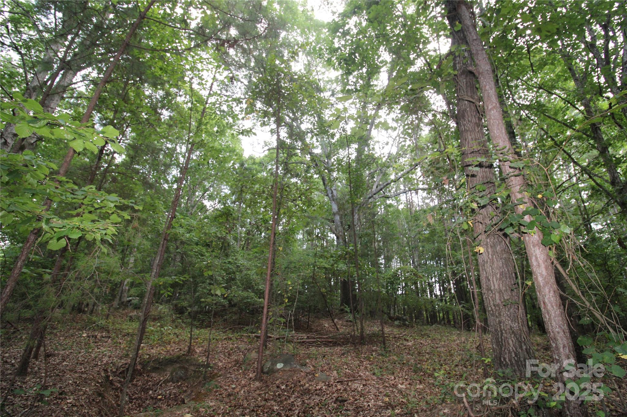 Lot 5 Lake Wylie Drive
