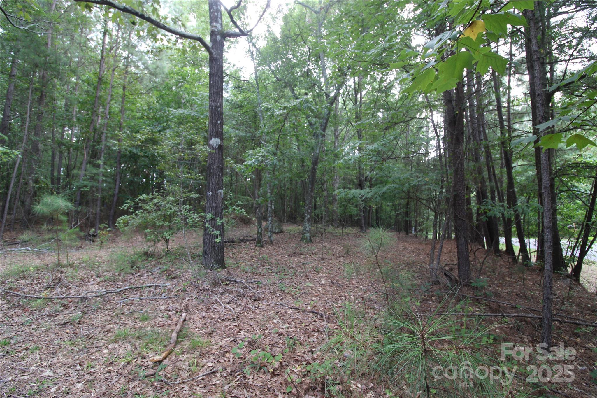 Lot 5 Lake Wylie Drive