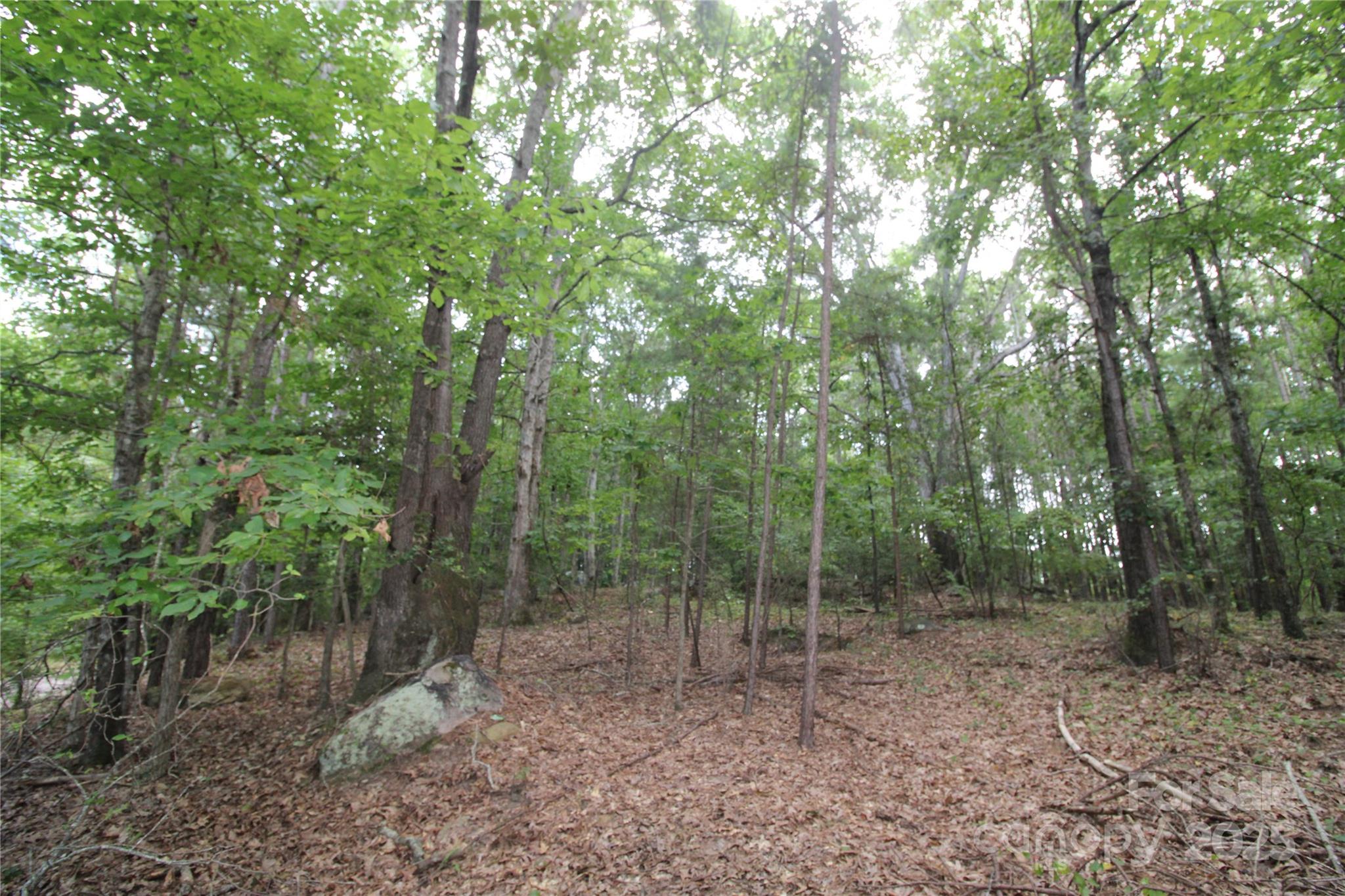 Lot 5 Lake Wylie Drive