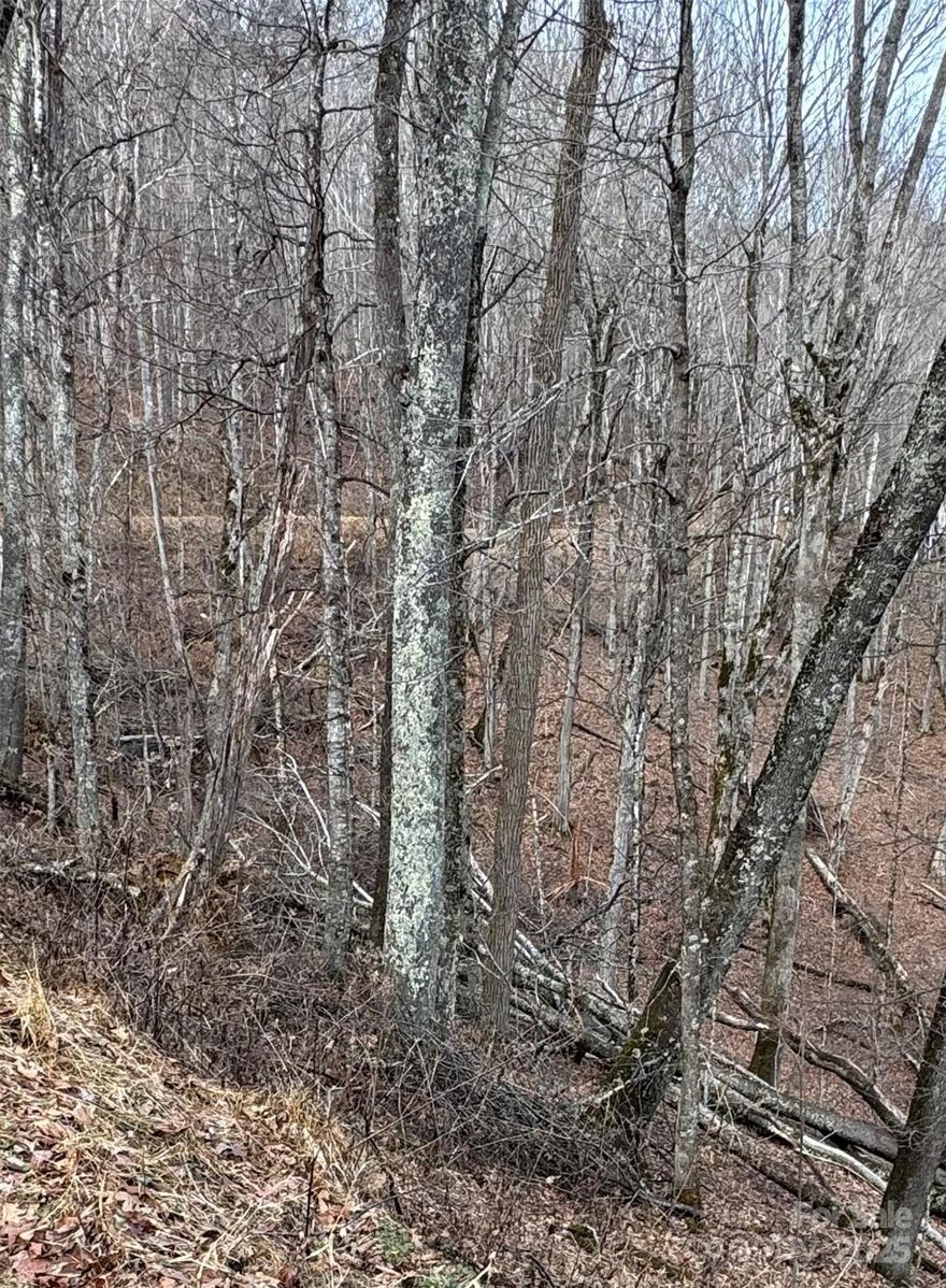 The beautiful Wolf Laurel gated community affords all the mountain living you could wish for with plenty to do summer and winter. Get your memberships and enjoy golf, horse back riding, swimming and several other amenities all at impressive heights with incredible views! Do you love hiking? The Appalachian Trail runs close by so you can jump on the local access points!