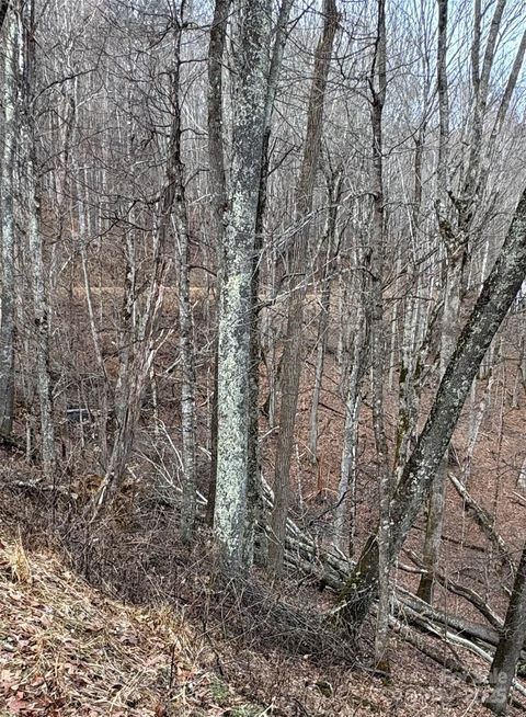 00 Spring Brook Drive 314 Mars Hill NC 28754