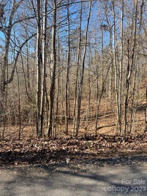 0 Holly Forest Drive