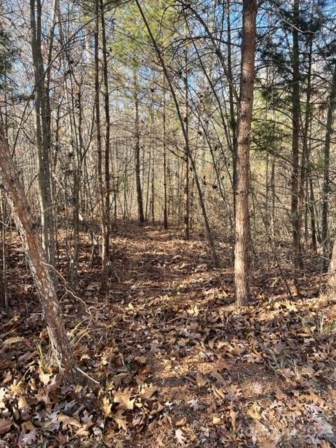 0 Holly Forest Drive