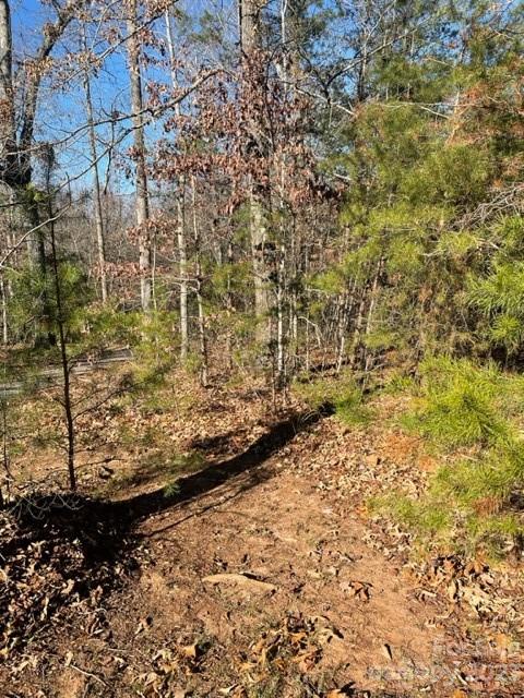 0 Holly Forest Drive