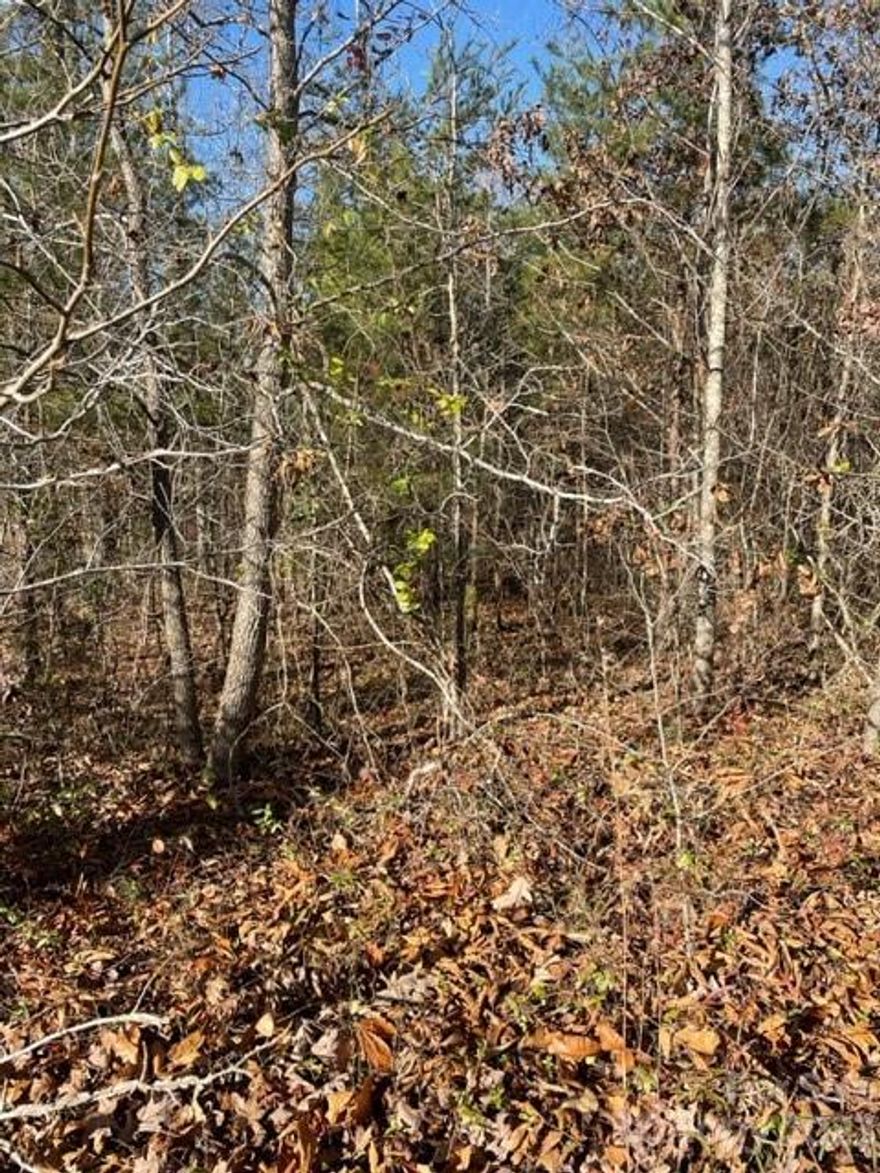 Great wooded lot in the Holly Forest Subdivision near the Cleghorn Golf Course. At almost 3 acres there is plenty of room for your home and to have some privacy also. There is a nice building site on a knoll on the upper side. Close to Rutherfordton, Forest City and the TIEC. Go and show.