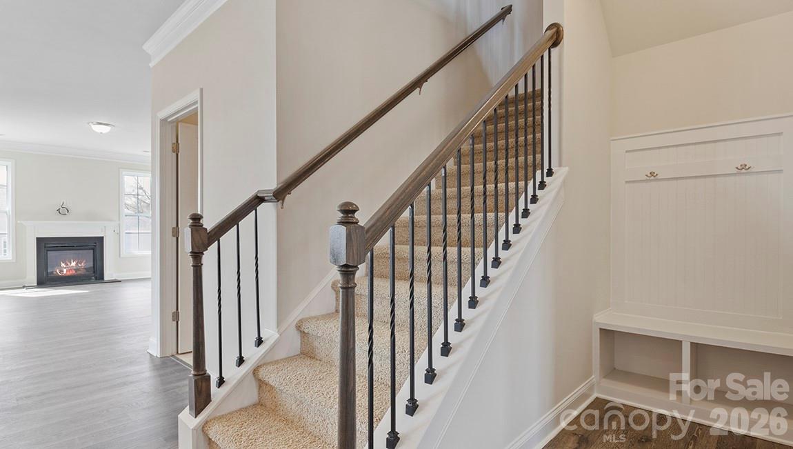 Tap Root Farms - Residential