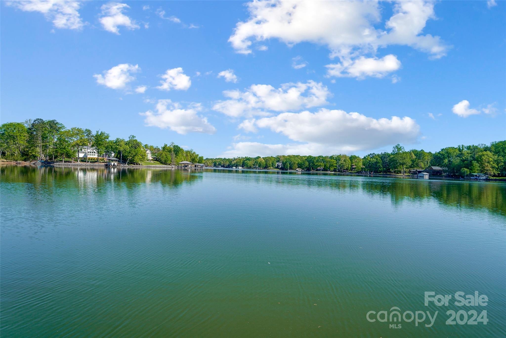 Lake Wylie - Residential