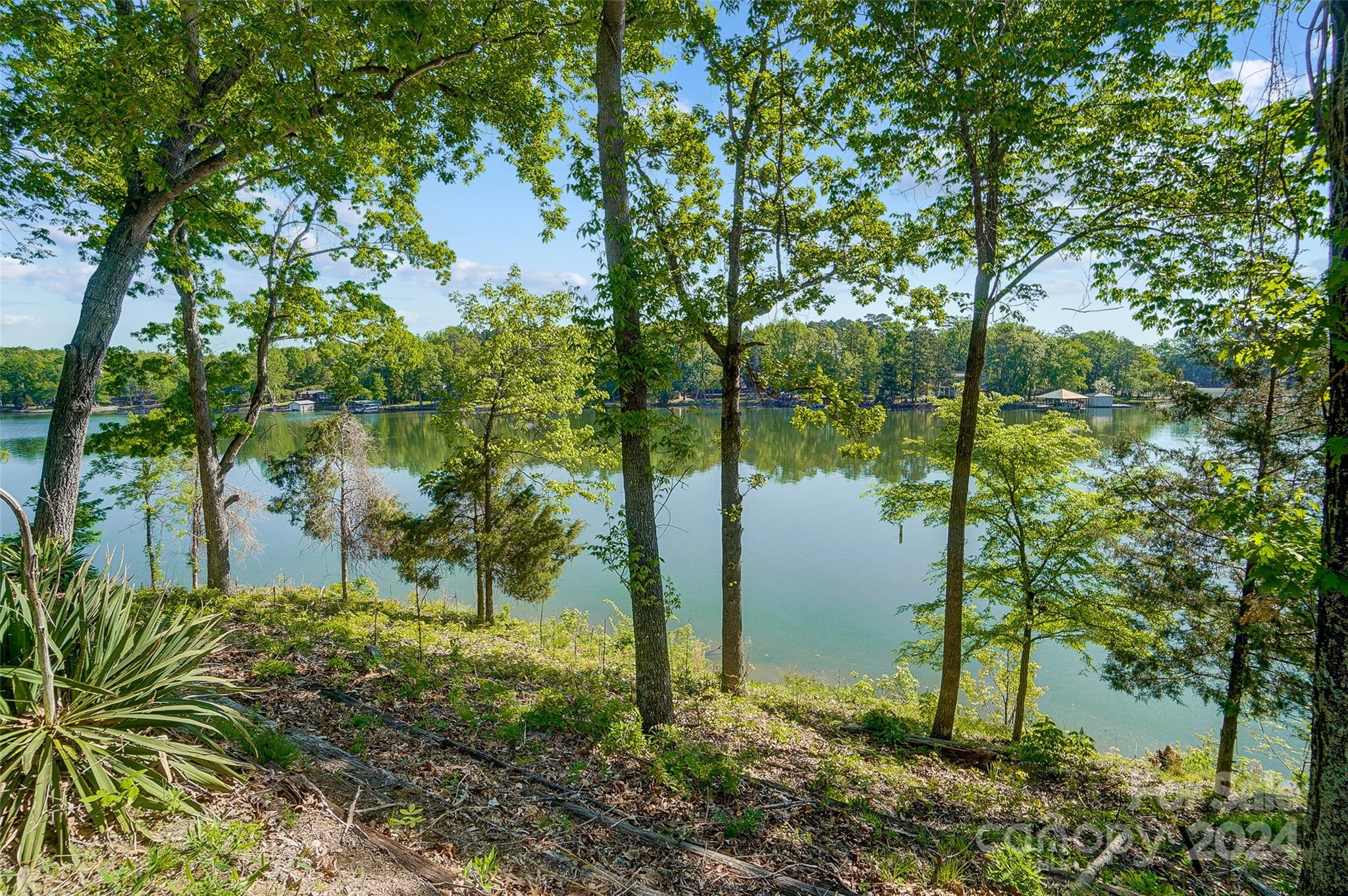 Lake Wylie - Residential
