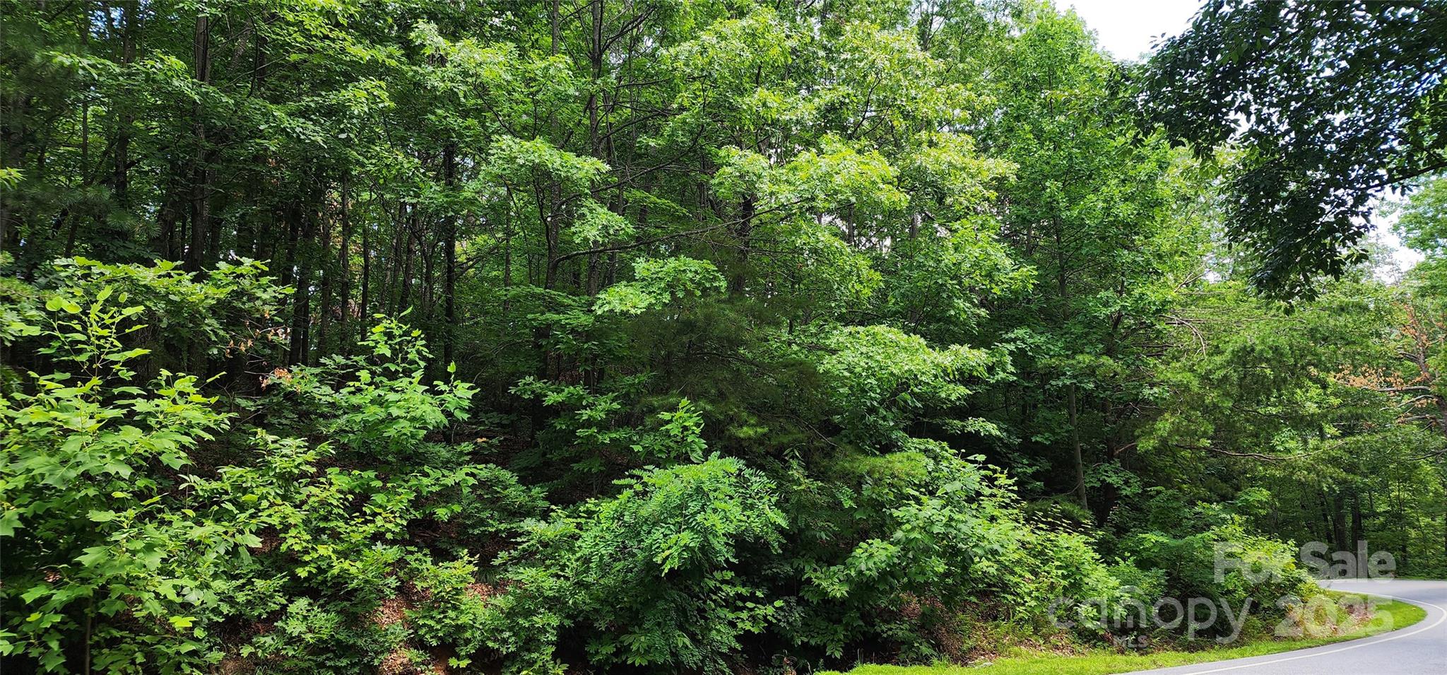 Lot 36 White Oak Mountain Road