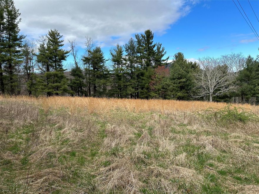 3 hard to find and very nice unrestricted acres with year round mountain views.  Back portion of property is in Henderson County and front portion that borders Spicer Cove Road is in Polk County.  Nice level building sites on each half of the property.  Will need well and septic. 20 ft ROW into upper portion of property as well as frontage on Spicer Cove.  No road maintenance agreement. See agent remarks for details.