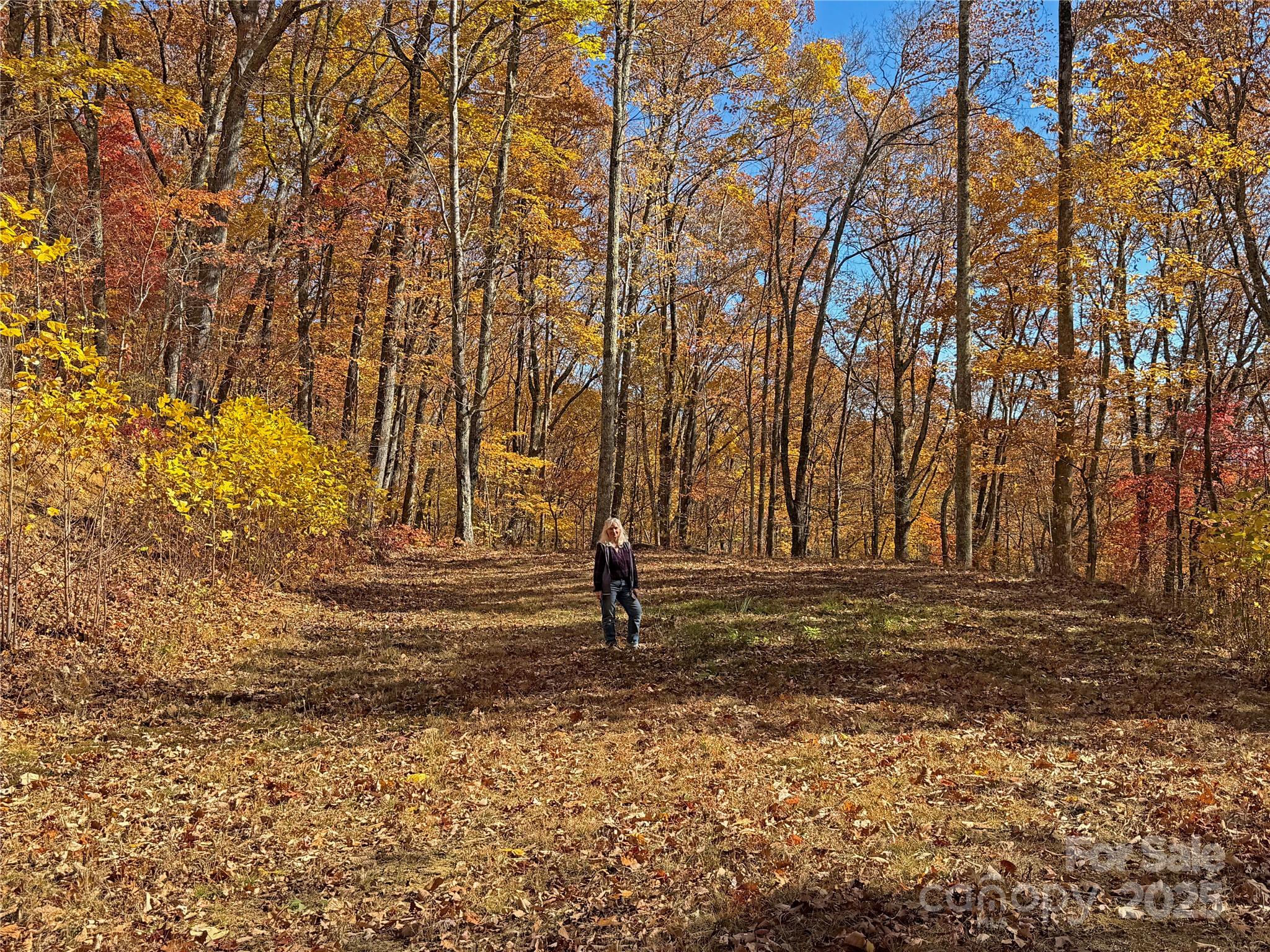 890 Panther Branch Road