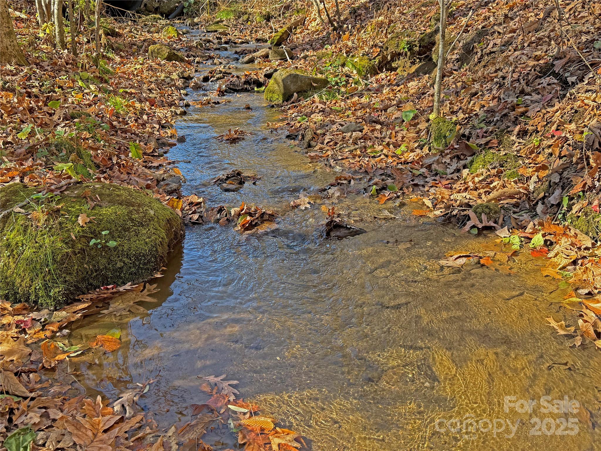 890 Panther Branch Road