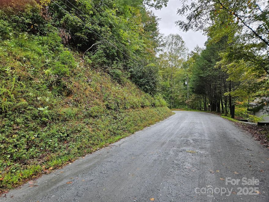 Discover the above road grade possibly a perfect mountain escape on this .56-acre lot in the private, gated community of Riverbend at Lake Lure. This above road grade parcel offers a peaceful setting for your future home or vacation retreat. Enjoy exclusive access to two private lakes, hiking trails, a sandy beach, and the Broad River for kayaking or fishing. Community amenities include picnic areas, a pavilion, and walking trails—all surrounded by natural beauty and mountain views. Just minutes from Lake Lure, Chimney Rock, and local dining. Ideal for full-time living, weekend getaways, or investment. Short-term rentals allowed with restrictions.