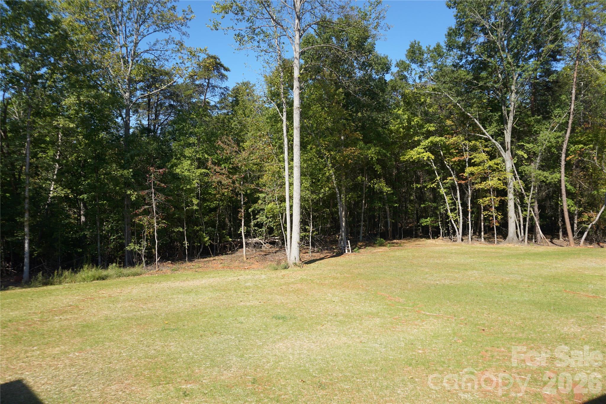 989 Rhyne Road
