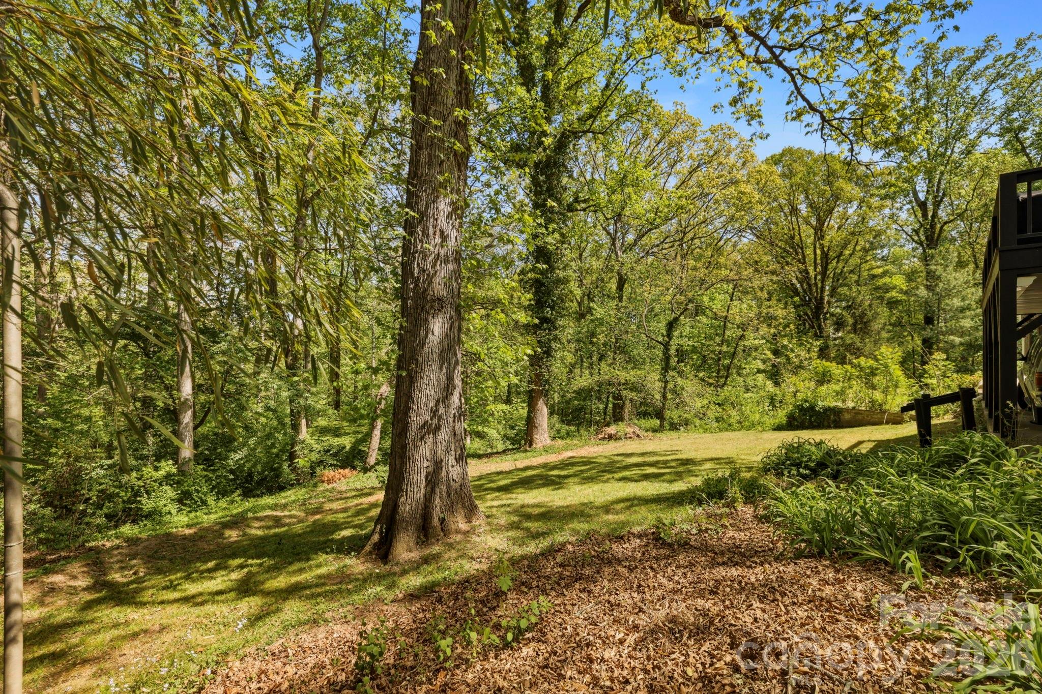 41 Chiles Avenue 1,2 & 3