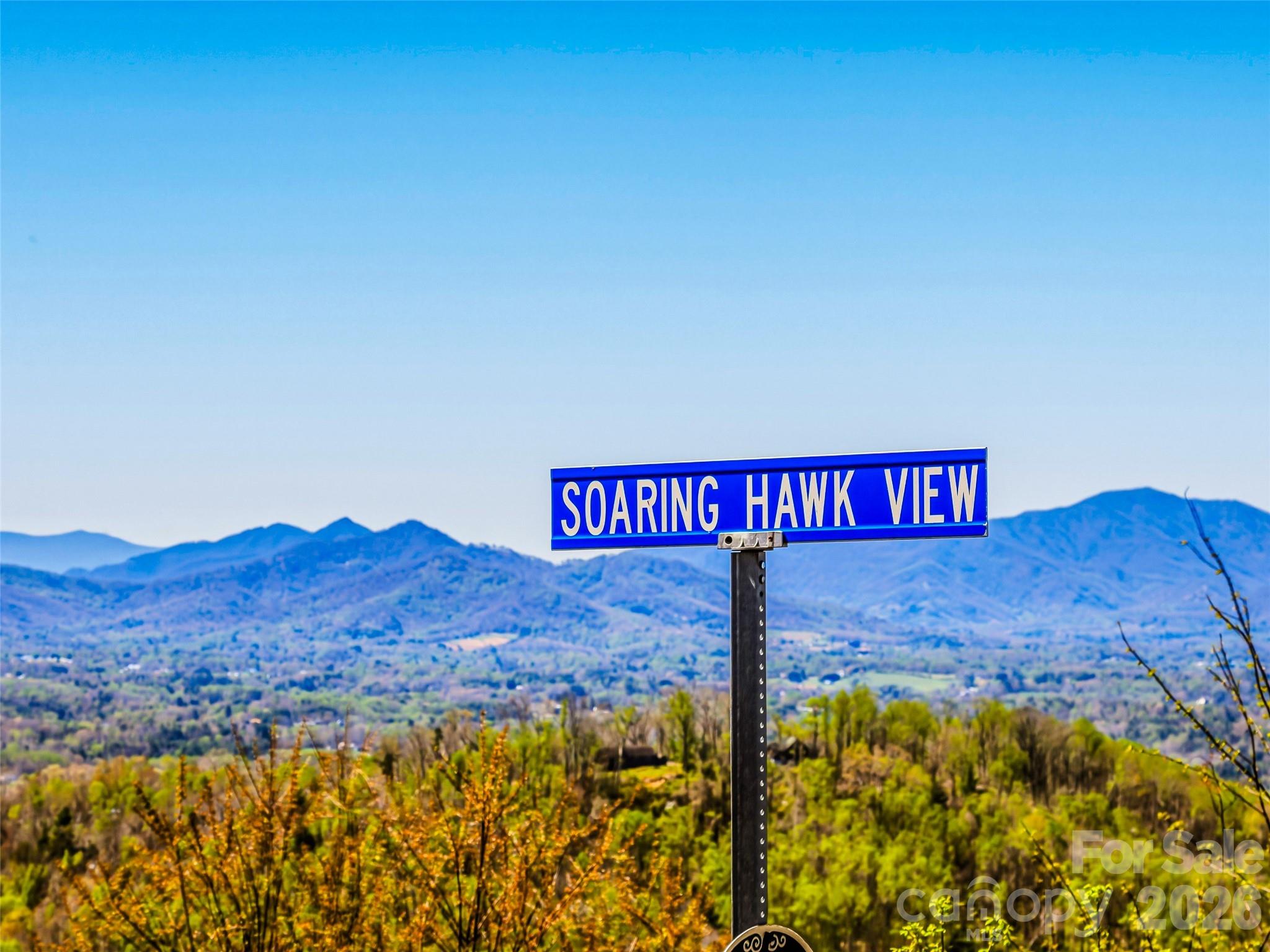 5 Soaring Hawk View 14