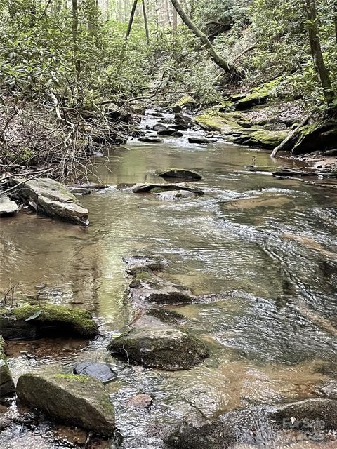 0 E Green Creek Drive Tryon NC 28782