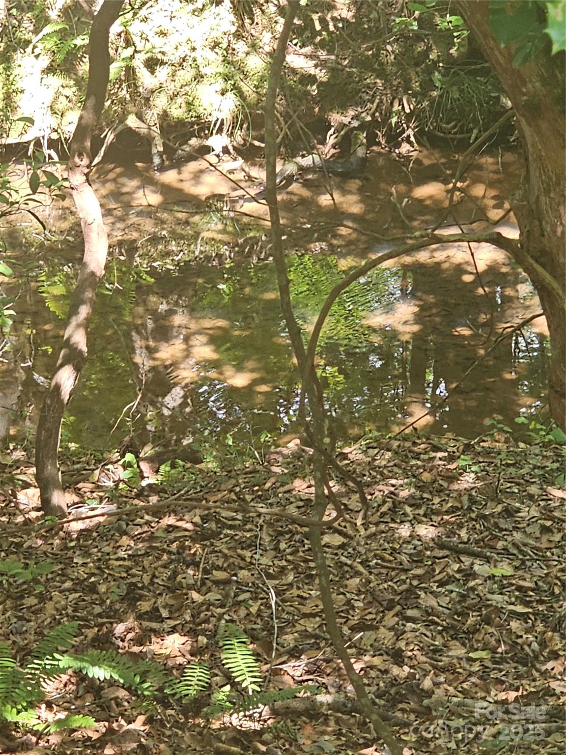0 E Green Creek Drive